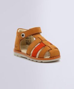 Ordercraze.shopd278b22819 1