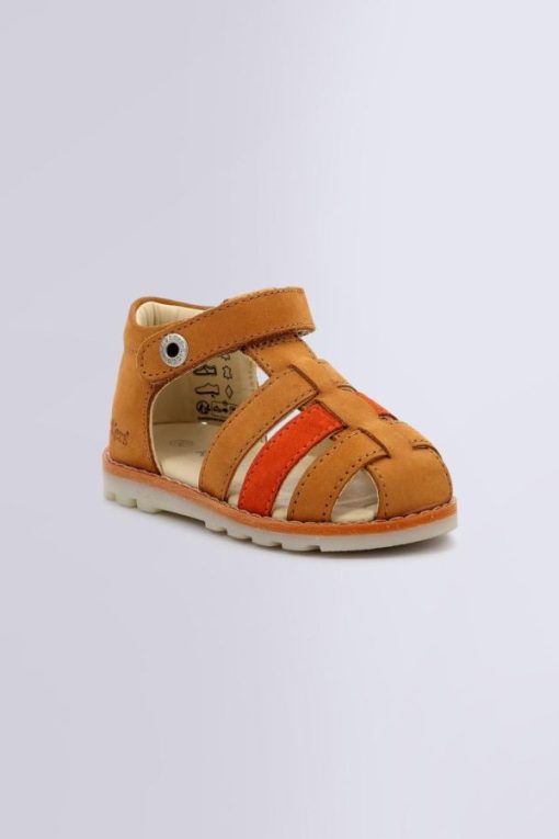 Ordercraze.shopd278b22819 1