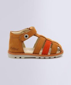 Ordercraze.shopd278b22819 2