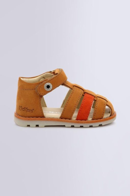 Ordercraze.shopd278b22819 2
