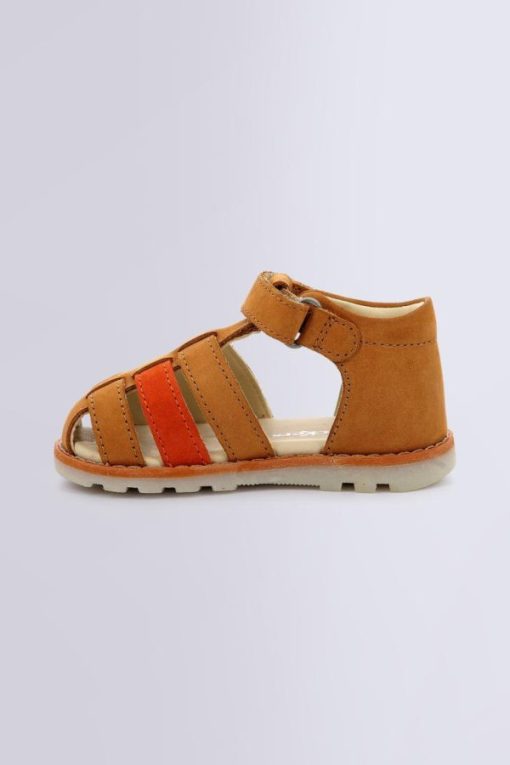 Ordercraze.shopd278b22819 3
