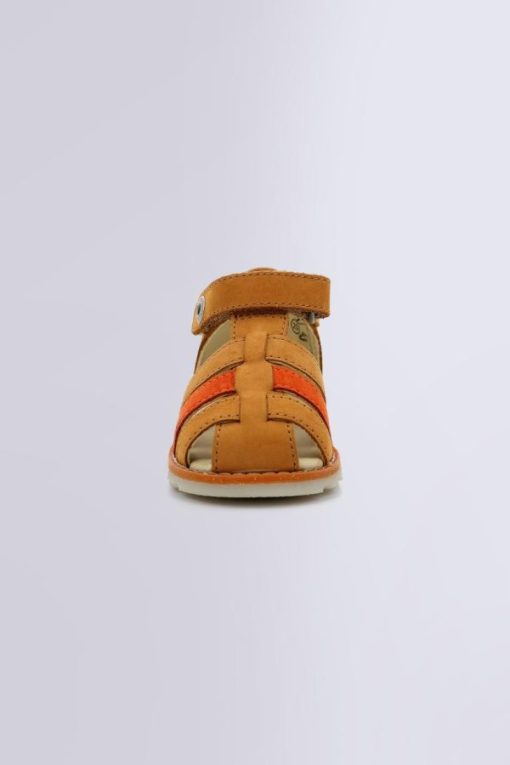 Ordercraze.shopd278b22819 4