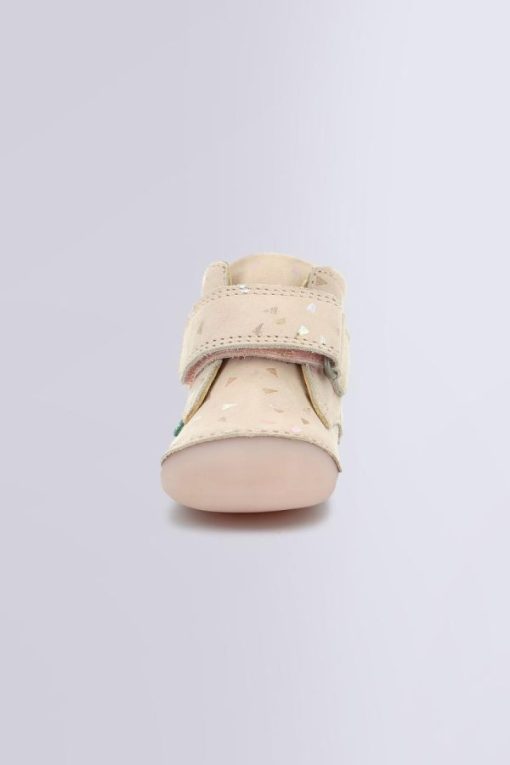 Ordercraze.shopd27e1594b7 4