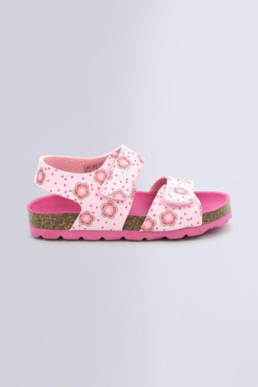 Ordercraze.shopd33fb00051 2