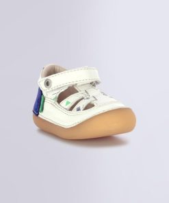 Ordercraze.shopd39ed5010c 1