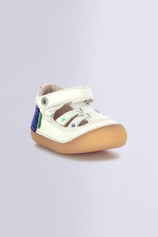 Ordercraze.shopd39ed5010c 1