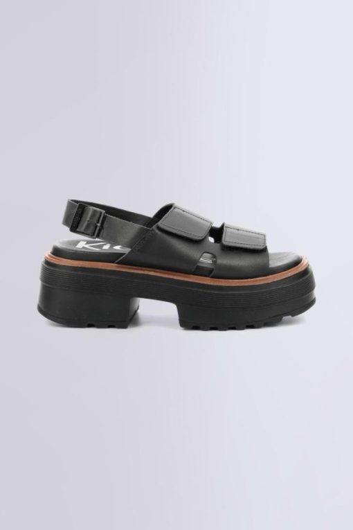 Ordercraze.shopd3a2fcb5b5 2