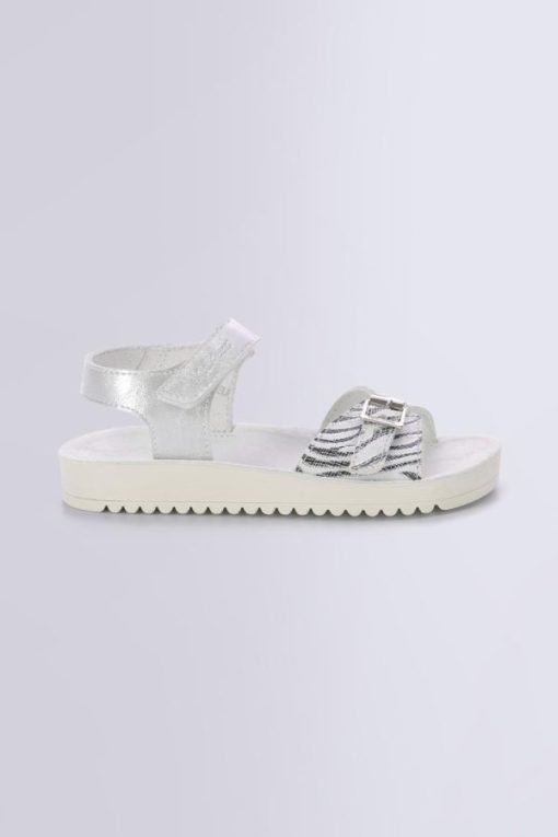 Ordercraze.shopd3a9b19ab5 2