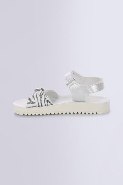 Ordercraze.shopd3a9b19ab5 3