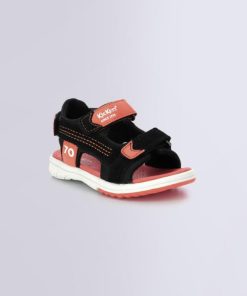Ordercraze.shopd4057420ae 1
