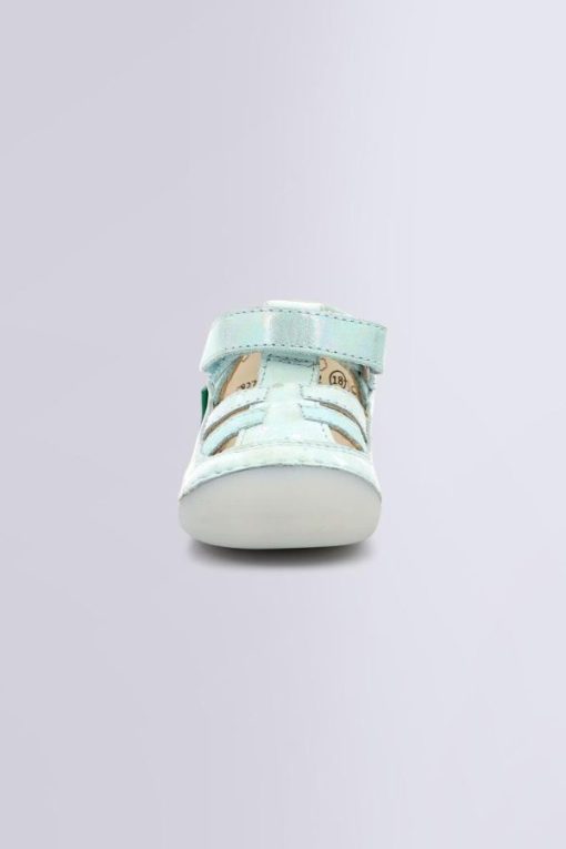 Ordercraze.shopd462ae3dac 4