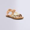 Ordercraze.shopd4ca5525d8 1