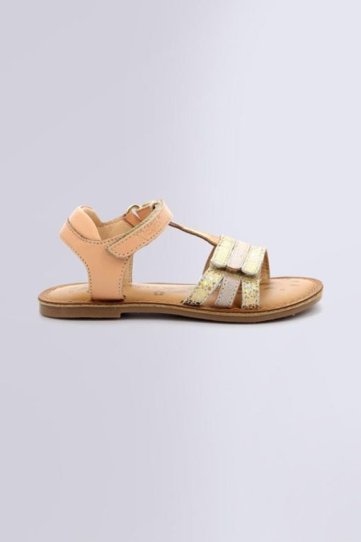 Ordercraze.shopd4ca5525d8 2