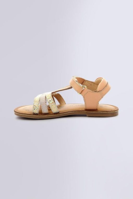 Ordercraze.shopd4ca5525d8 3
