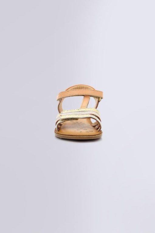 Ordercraze.shopd4ca5525d8 4