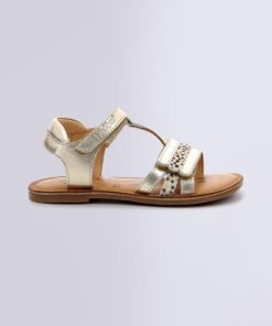 Ordercraze.shopd5a02c7e1d 2