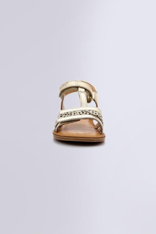 Ordercraze.shopd5a02c7e1d 4