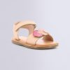 Ordercraze.shopd6650aa98c 1
