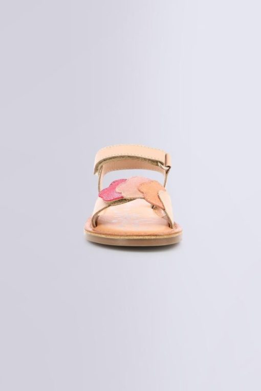 Ordercraze.shopd6650aa98c 4