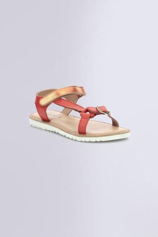 Ordercraze.shopd73dae154b 1