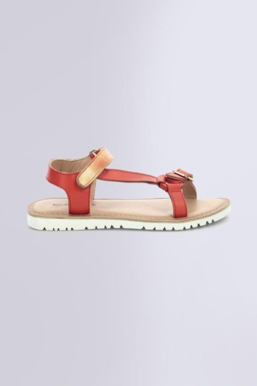 Ordercraze.shopd73dae154b 2