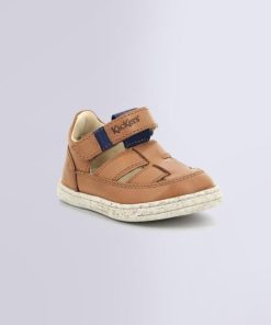 Ordercraze.shopd8c317235a 1