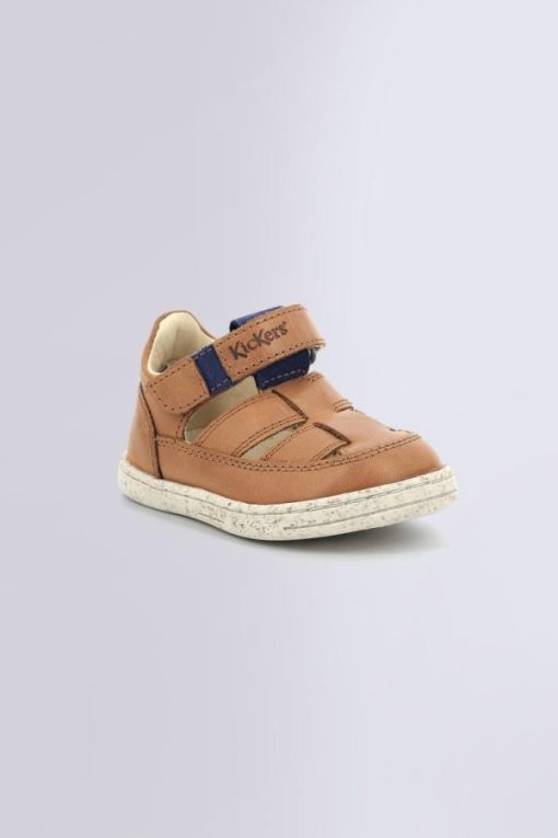 Ordercraze.shopd8c317235a 1