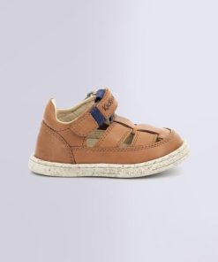 Ordercraze.shopd8c317235a 2