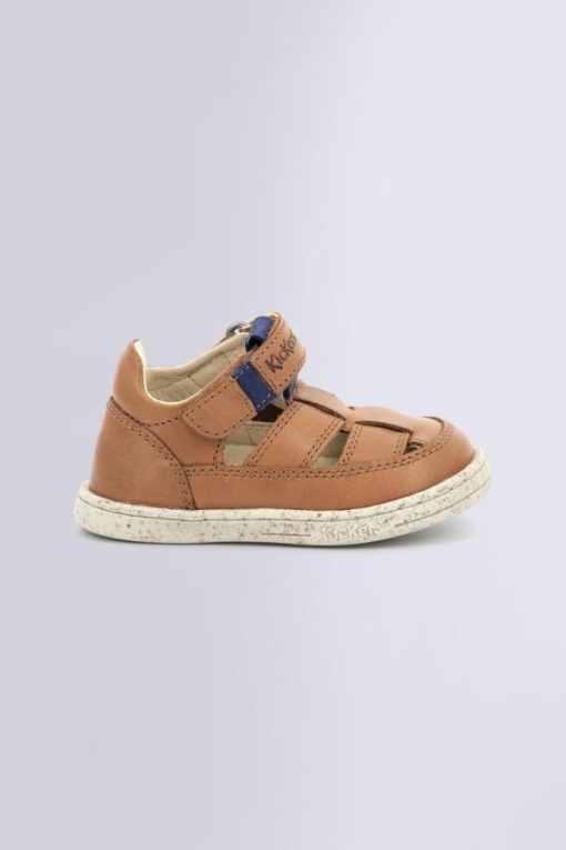 Ordercraze.shopd8c317235a 2