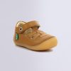 Ordercraze.shopdce23cdcc0 1