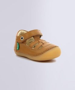 Ordercraze.shopdce23cdcc0 1