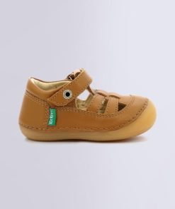 Ordercraze.shopdce23cdcc0 2