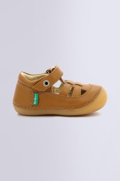 Ordercraze.shopdce23cdcc0 2