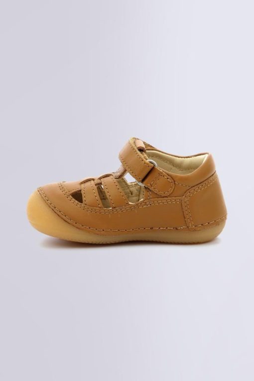 Ordercraze.shopdce23cdcc0 3