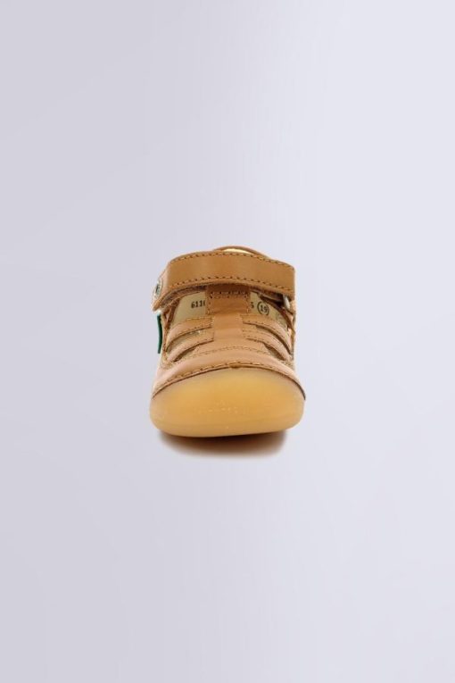 Ordercraze.shopdce23cdcc0 4