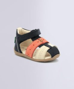 Ordercraze.shopdd1b0cc320 1