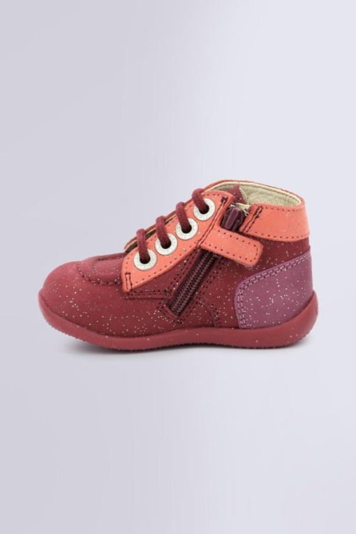 Ordercraze.shope16d984ce2 3