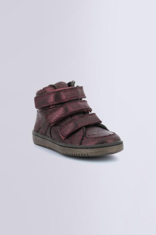 Ordercraze.shope19d329f87 1