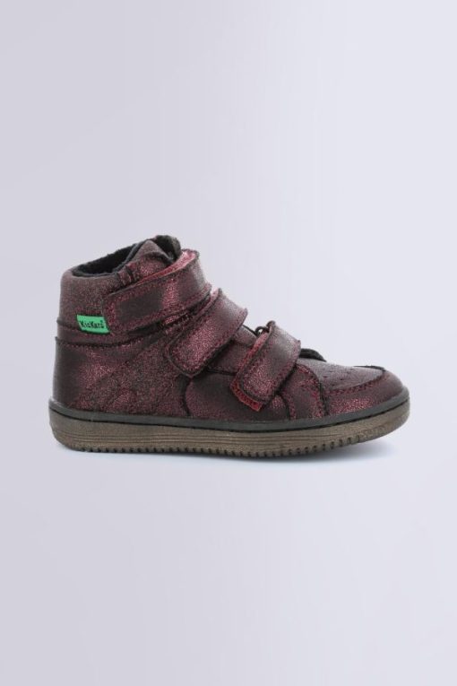Ordercraze.shope19d329f87 2