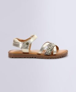 Ordercraze.shope1b6bcc347 2