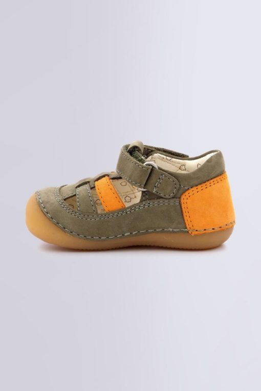 Ordercraze.shope2567a5381 3