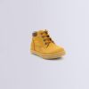 Ordercraze.shope58bf4278f 1