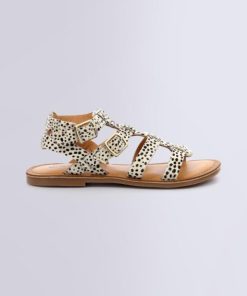 Ordercraze.shope7dd8df40f 2