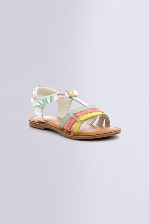 Ordercraze.shope7ea2f1fa7 1