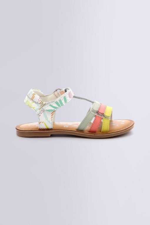 Ordercraze.shope7ea2f1fa7 2