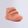 Ordercraze.shope7f23f0355 1