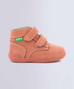 Ordercraze.shope7f23f0355 2