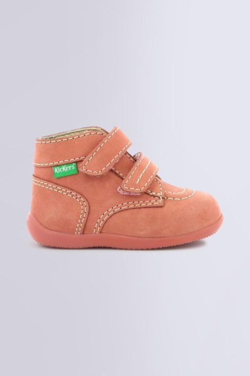 Ordercraze.shope7f23f0355 2