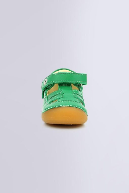 Ordercraze.shope8a20eec68 4