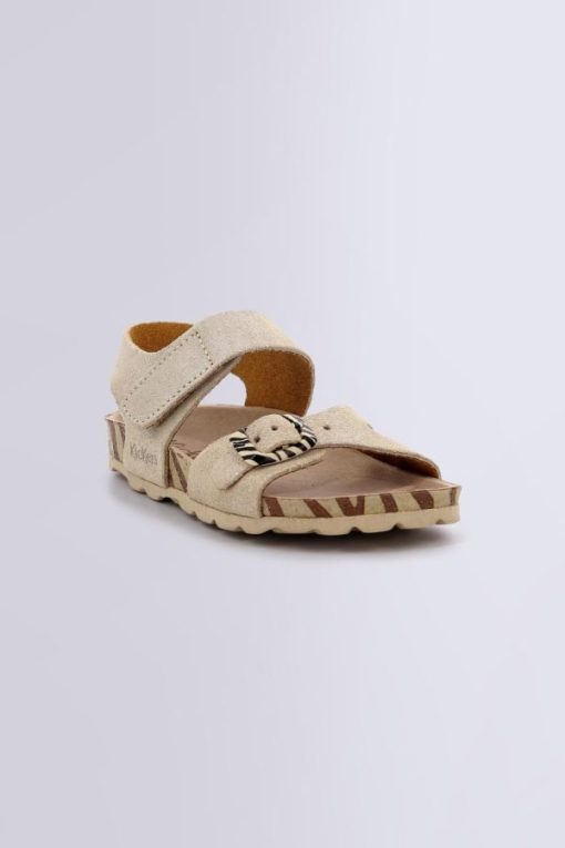 Ordercraze.shopea0b1e81d5 1